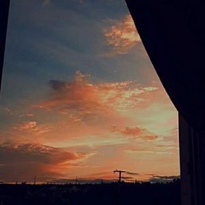 Meet your Posher, Hailey